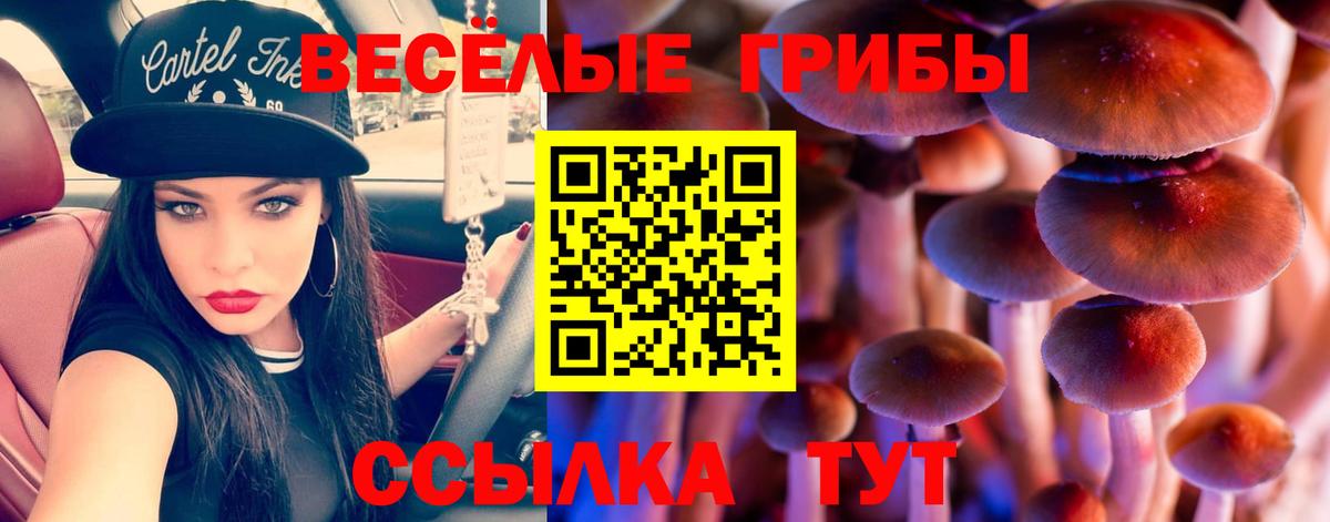 Туймазы  дарнет шоп  Вход с VPN  Галлюциногенные грибы GOLDEN TEACHER 