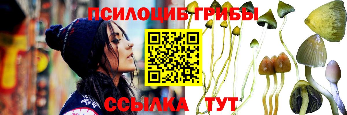 Псилоцибиновые грибы прущие грибы Туймазы